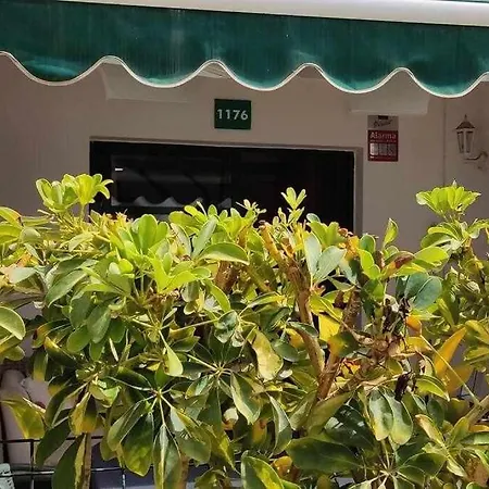 Raga - With Swimming Pool In מספאלומס